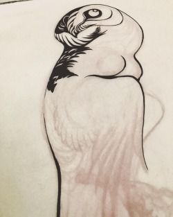 nataliehall:  Hoot.