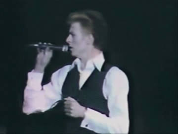 luvbowieluvr:sloweburn:Thin White Duke gif by me This will never cease to make me smile :)