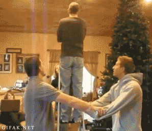 meme-rage:  Trust fallhttp://meme-rage.tumblr.com