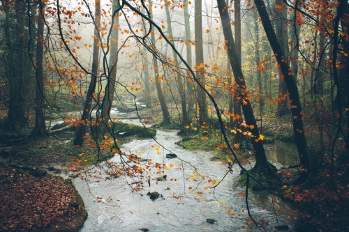 odbytea:  dpcphotography:  Weekend Walk 🍁🍂  xx
