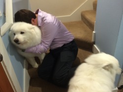 skookumthesamoyed:  My brother was having