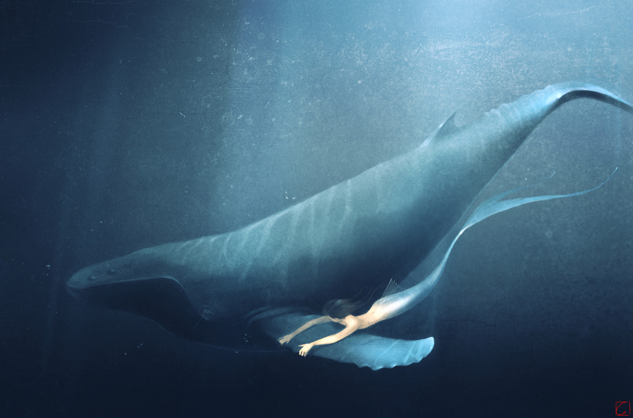 theartofanimation:  Alexandra Khitrova 