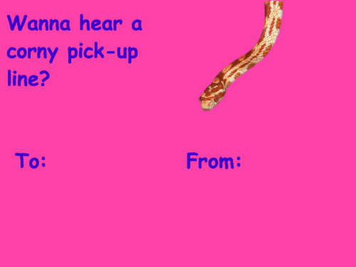 colormebowie: newts-in-hats:  It’s that time of year again….  Nice 