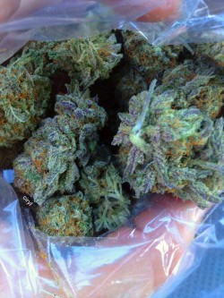 marypeacelife:  ciryl:  Bubblegum Purp c;