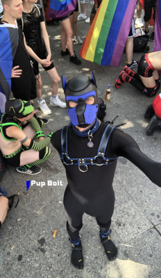 pupbolt:  Loads of fun at Berlin Pride 2018!With