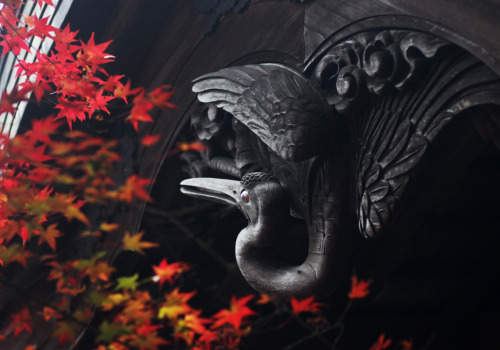 k641739021:飛んでいきたいの写真(画像) 写真ID:4160775- 写真共有サイト:PHOTOHITO