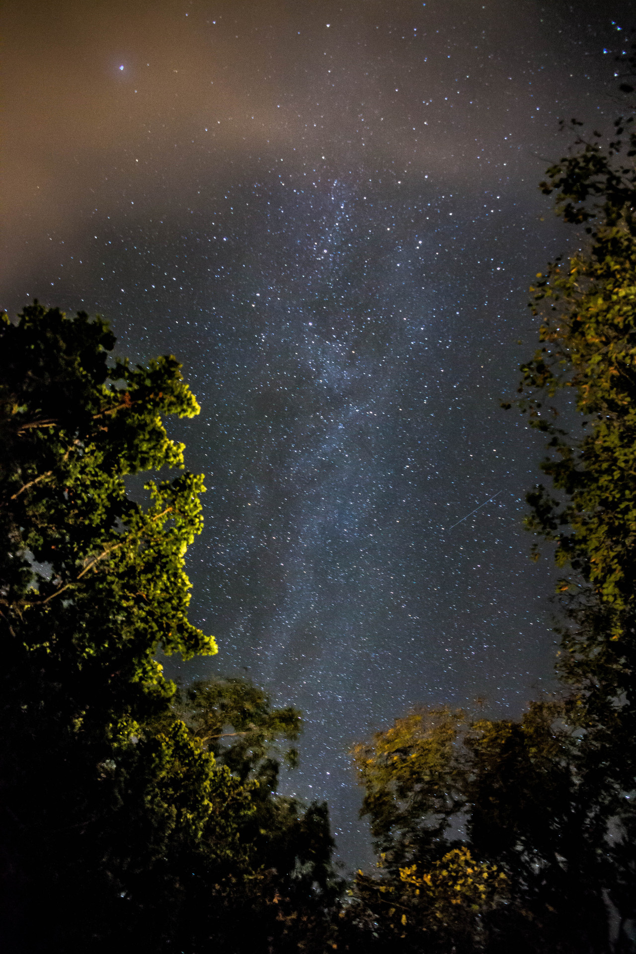 freddie-photography:  Through Autumnal Trees - By Freddie Ardley Photography @FreddieArdley