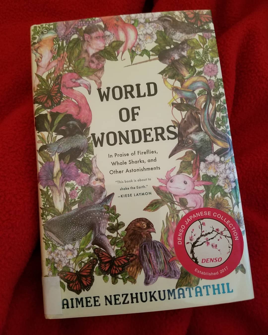 Sunday morning reading, World of Wonders, “a book of sustenance and joy.” By Aimee Nezhukumatathil and illustrated by Fumi Mini Nakamura. Wonderful indeed 🦑🦋🌴☔🌞
#sundayvibes #bookstagram #bookrecommendations #worldofwonders #micromemoir...