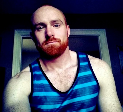 ginger-tidings:Tanktoppus gingerus