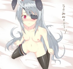 avshortbits:  Laura (Infinite Stratos).