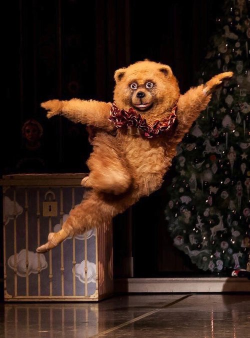 babyanimalgifs:  more baby animals here