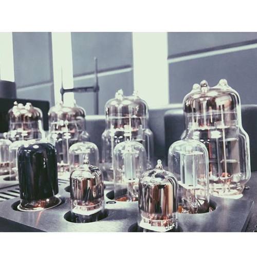 6C33C-B, now that brings music to my ears! #6C33C #vacuumtube #audiophile #homeaudio #hifi #music #t