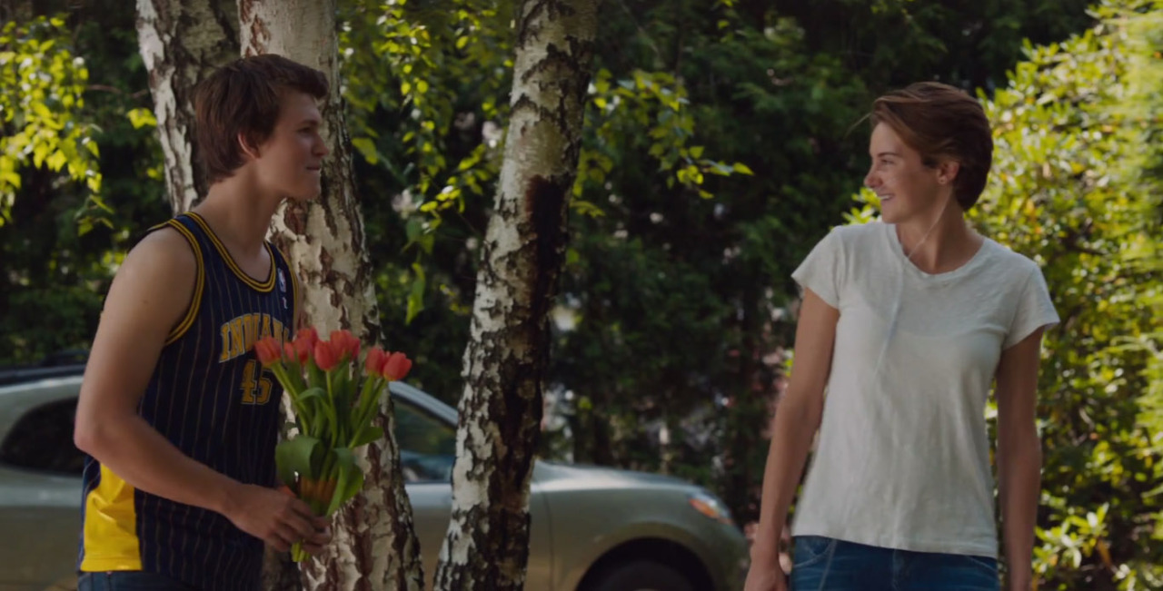 hazels:  Stills from the new The Fault In Our Stars teaser trailer. 