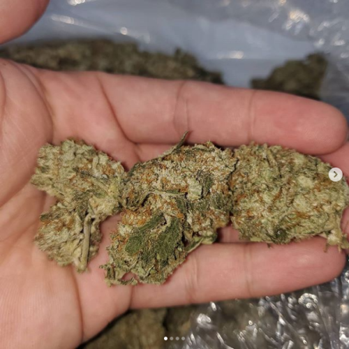 weediality