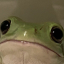 froggystxle