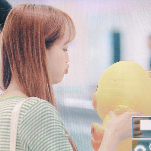 Chuu Icons.