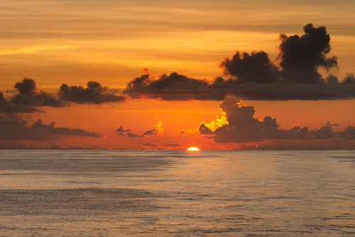 peonagabriel: When the setting sun kisses the horizon
