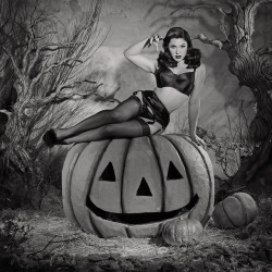 whatkatiedidlingerie:  Spectacularly spooky