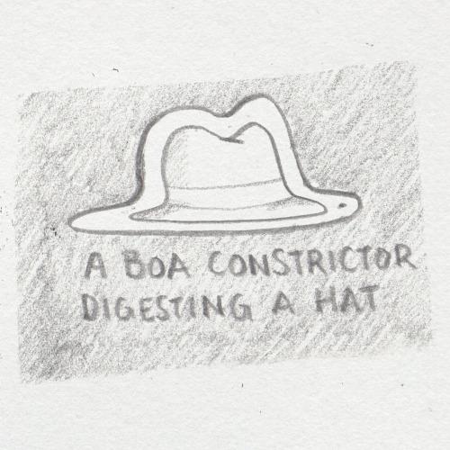 zeichenwege:(1270) A boa constrictor digesting a hat