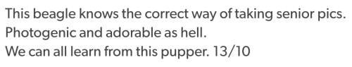 animalrates:  animal rates?