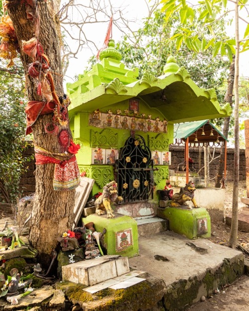 Small shrine, Purbeswara Temple, Bhubaneswar, Odisha, photos by Kevin Standage, more at https://kevi