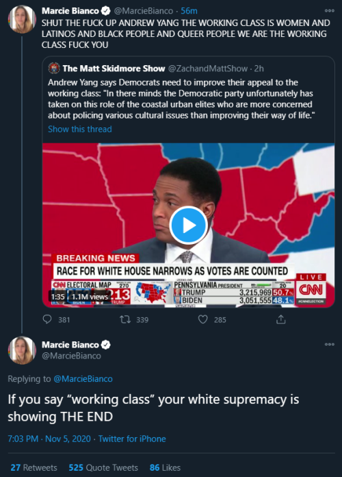 speciesbarocus:Andrew Yang is a white supremacist now. Also, “working class” is white su