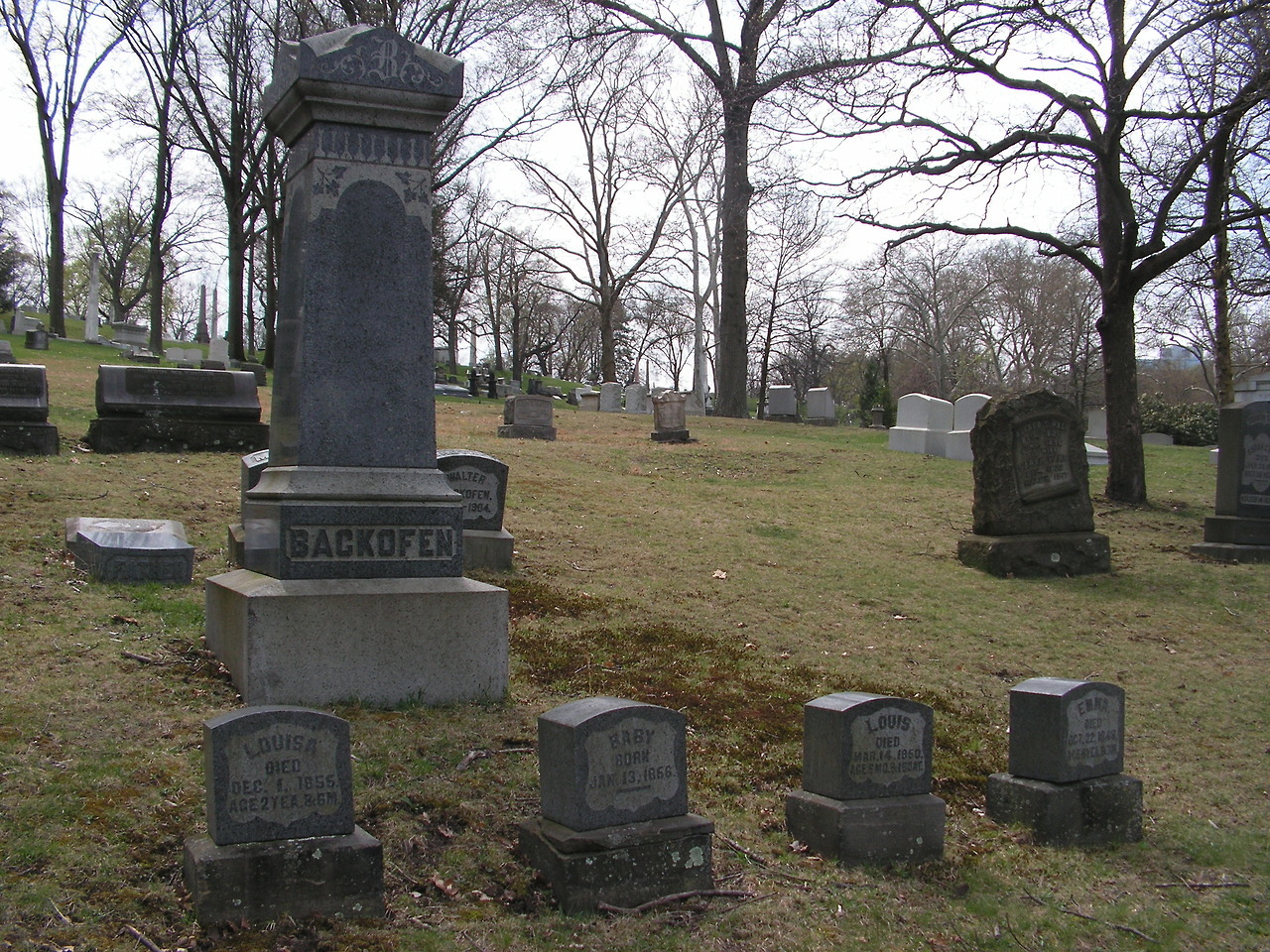 g63heavenonearth: Allegheny Cemetery 41317-15