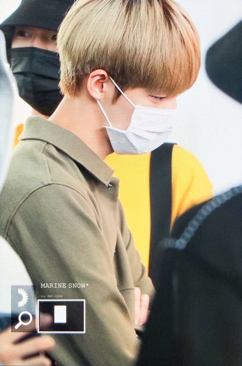 (Preview) 190930 HND © Marine Snow | do not edit ϟ do not crop