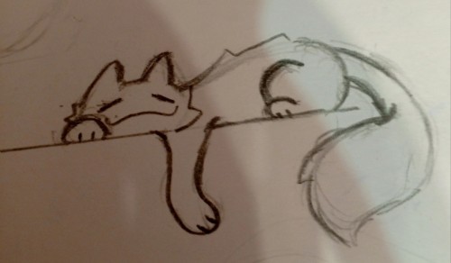 Made A Few Rough Sketches Of Cats Late At Night. Sorry For My Shitty Camera Lol.
