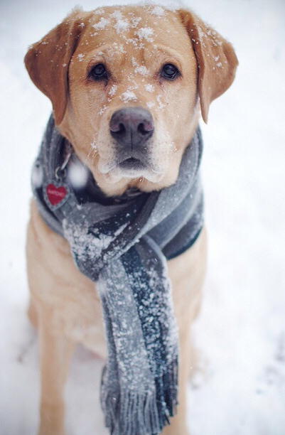 turningpoint2:  {CarlyThomasPhotography} 