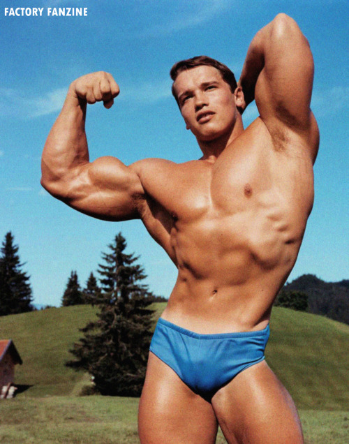 Arnold Schwarzenegger Scrapbook - FACTORY Fanzine