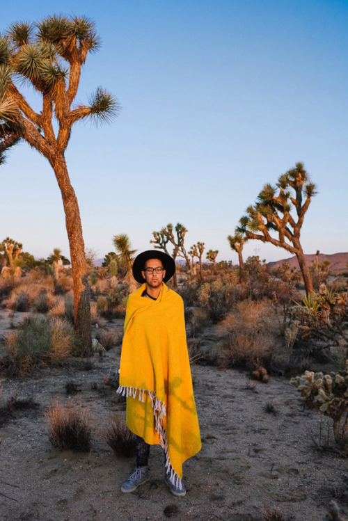 sunrise in Joshua Tree with Justin Bettman and that yellow blanket