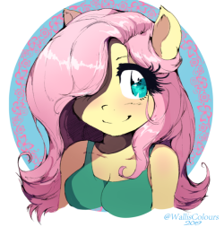 walliscolours:a anthroshy doodlefirst mlp doodle uploaded in ages?