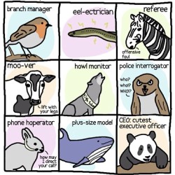 9gag:  Animal professions 