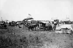 Historicaltimes:  “Anadarko Townsite, Auction In Progress In Lumber Company Booth.