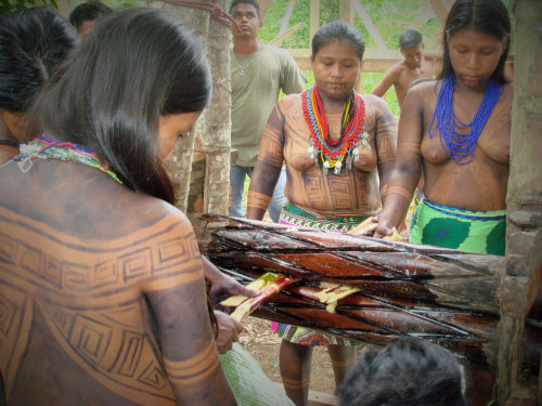 Porn   Embera, by Thierry Leclerc.   photos