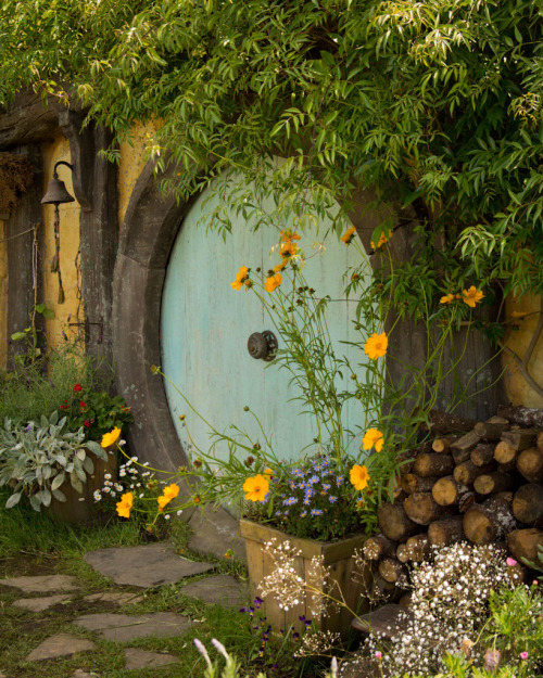 Enchanted Fairytale Dreams