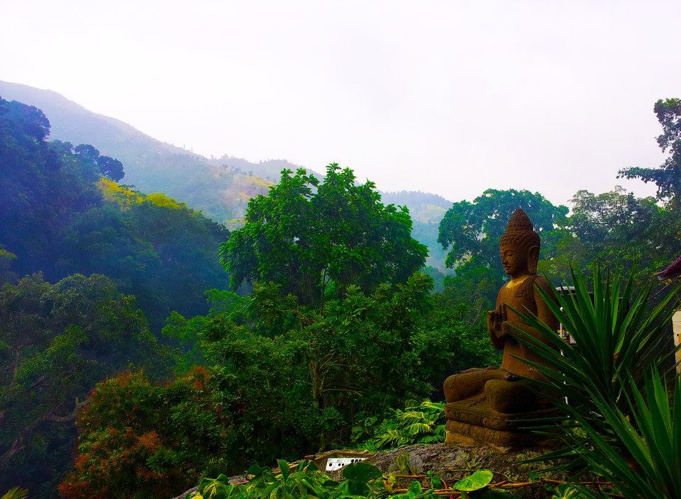 the-sweet-life-ja:  Serendipity Holistic Resort (Irish Town, Kingston, Jamaica) ::