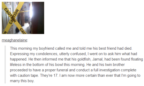 godbless-st-cyr:  A compilation of my favourite ‘little stories’ from tumblr. - Part 1 || Part 2 || Part 3 || Part 4 
