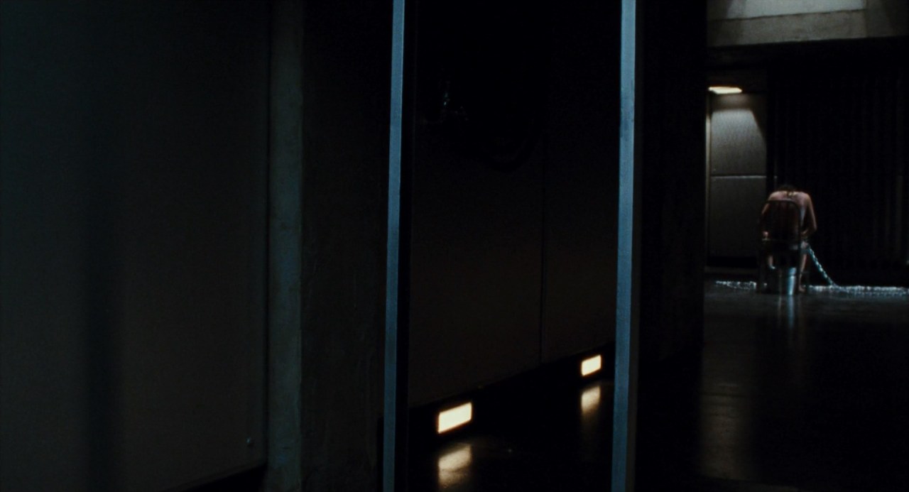 cleofisrandolph:Martyrs (2008) dir. Pascal Laugier, cinematography by Stéphane