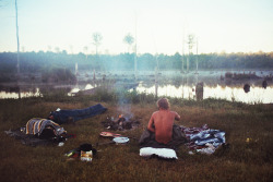 THEO GOSSELIN