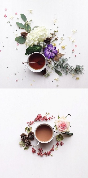 bibliophilebunny: blooming tea