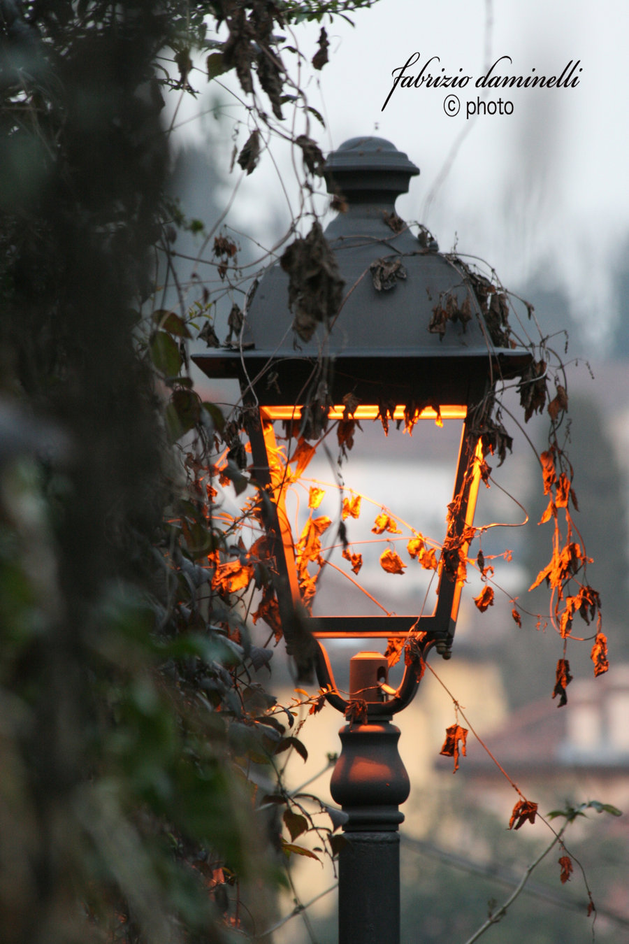 gyclli:  lampby fabriziodaminelli 