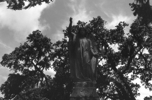 angel in Bonaventure cemetery