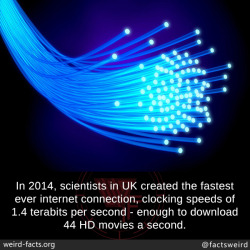 mindblowingfactz:  In 2014, scientists in