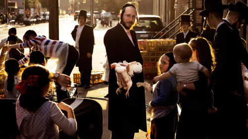 kierangosney.tumblr.com/Shot during a Hasidic Kaparot ceremony in Williamsburg, New York. The