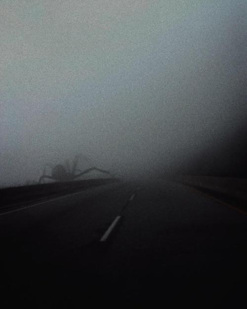 blue–folder:  Just another foggy day,