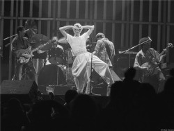 zzzze:  Bob Gruen David Bowie on stage at MSG, NYC. May 7, 8 or 9, 1978. Gelatin silver print