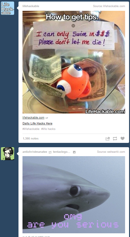 shanevamp:  This just in 