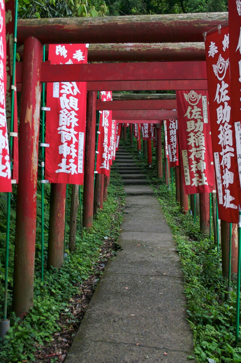 異界への道 path to the gods&rsquo; territory Even to my sacreligious eyes, this approach to the 